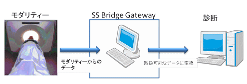 SS Bridge